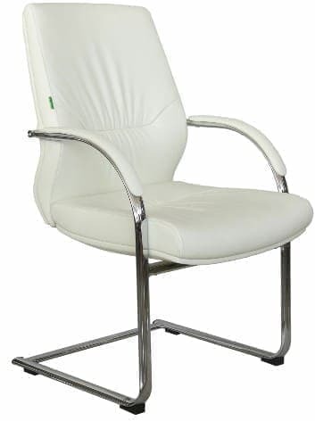 Офисное кресло RIVA Alvaro-SF С1815